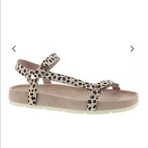 Leopard print strappy dolce vita sandals